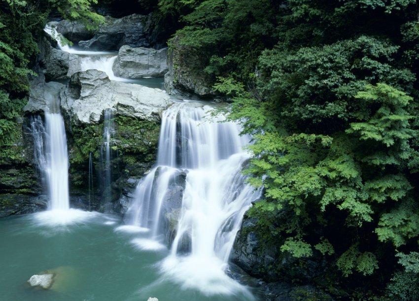 幻想纹章2.1