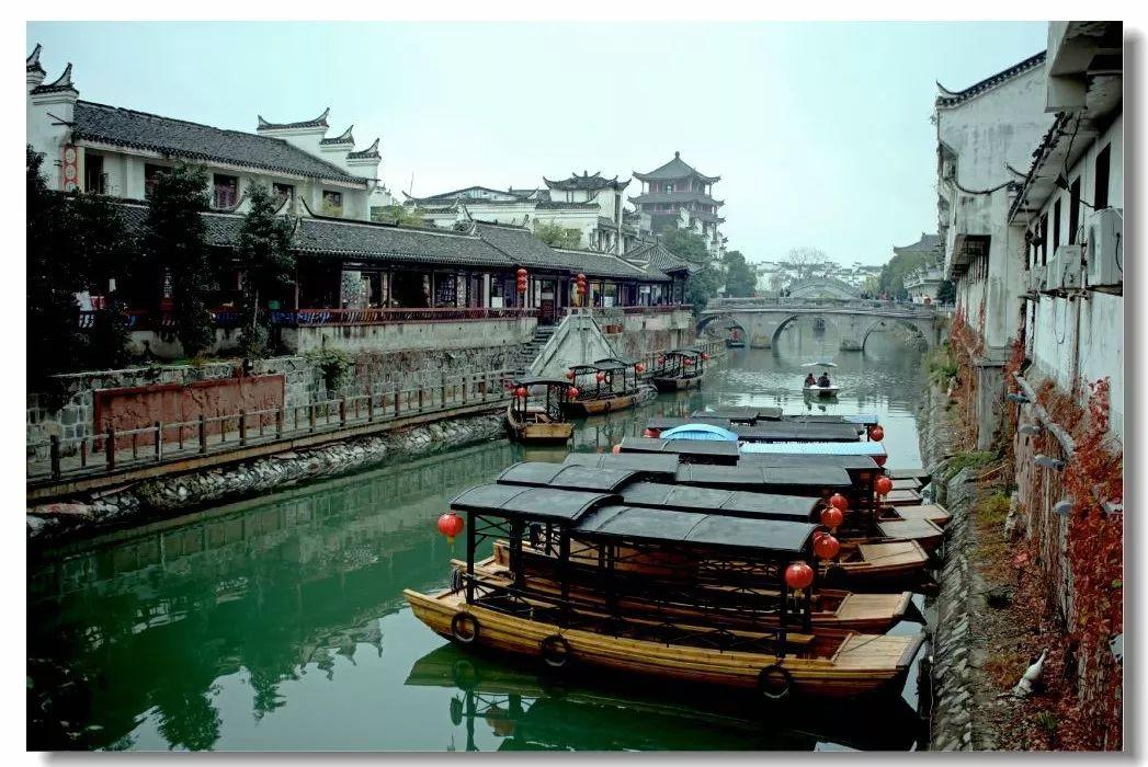强基固本促发展 产业铺就富民路(深度关注·党旗在基层一线高高飘扬)